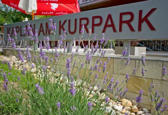 מלון באד טצמנסדורף Kaplan Am Kurpark מראה חיצוני תמונה